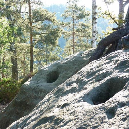 Ein Platz Fuer Ruhe Und Naturgenuss Sebnitz Dış mekan fotoğraf