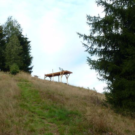 Ein Platz Fuer Ruhe Und Naturgenuss Sebnitz Dış mekan fotoğraf