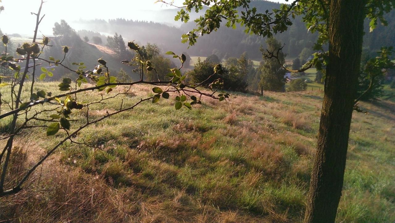 Ein Platz Fuer Ruhe Und Naturgenuss Sebnitz Dış mekan fotoğraf