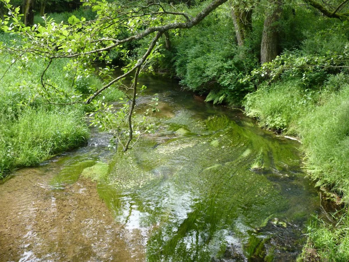 Ein Platz Fuer Ruhe Und Naturgenuss Sebnitz Dış mekan fotoğraf
